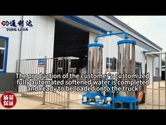 Stainless Steel 2 Tank Water Softener System Continuous Dual Tank Water Softener